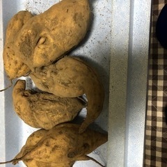 [取引中]無農薬　さつまいも　干し芋や種芋に最適　おまけ付　04162