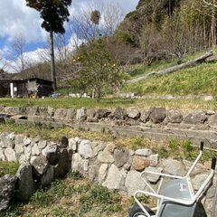 キャンプ場の開業・整備・DIY　一緒にやりませんか？