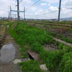 毎週日曜日に芝刈りや除草剤散布、家具の運搬などの重労働をしていま...