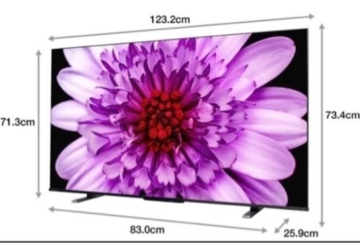 【ほとんど未使用】東芝　レグザ55インチTV&TV台セット