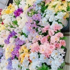 お花屋さんバイト募集 の画像