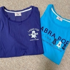 レディース　半袖Tシャツ　Ｌ