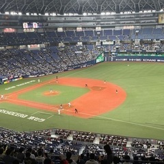 野球観戦 − 大阪府