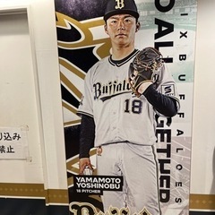 野球観戦 - 大阪市