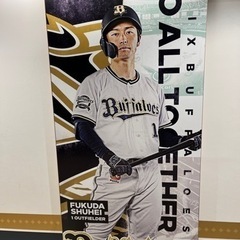 野球観戦 - スポーツ