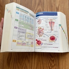 病期・病態・重症度からみた疾患別看護過程+病態関連図の画像