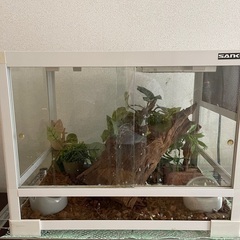 小動物、爬虫類用ゲージの画像