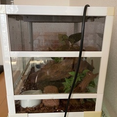 小動物、爬虫類用ゲージの画像