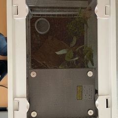 小動物、爬虫類用ゲージの画像