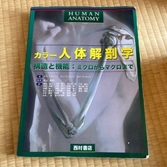 カラー人体解剖学