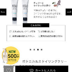 【値下】【新品】BOTANIST ボタニカルスタイリングクリームの画像