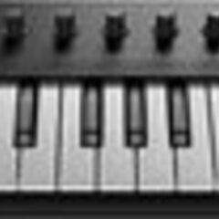 【新品】NATIVE INSTRUMENTS ネイティブインストゥルメンツ M-シリーズキーボード KOMPLETE KONTROL M32の画像