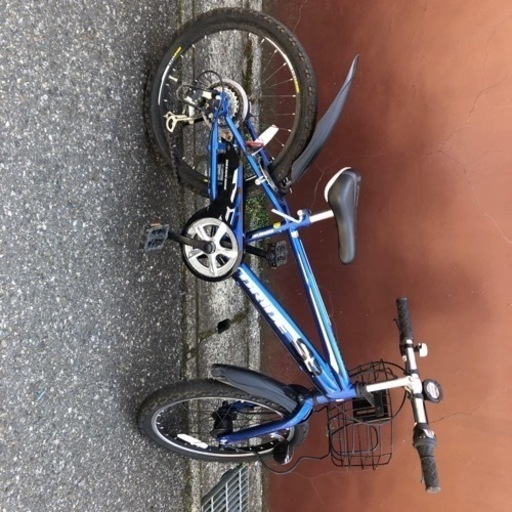 注文 盆栽鉢、植木鉢、粉引き反り六角鉢、黎鳳の奥様 の片岡美津江の