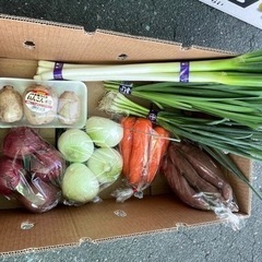 野菜　大特価セット　1000円