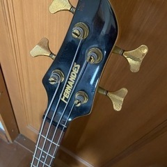 FERNANDES アクティブベース Bassの画像