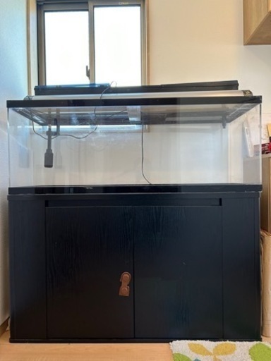 水槽(収納も出来る棚付き)