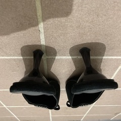 ブラックミュールの画像