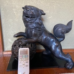 獅子　鞠の画像