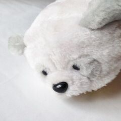 ぷーさんＤ　ディズニー　ぬいぐるみ　全長約２０cm 　レッサーパンダの着ぐるみの画像