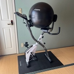 （お取引決定）エアロバイク・バランスボールのセット　マットつき