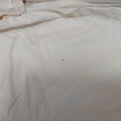 授乳クッション　マイブレストフレンド　おまけ付きの画像