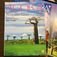 アゴラ　　AGORA JAL の画像
