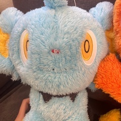 どれでもひとつ500円！！の画像