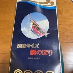 受け渡し中:ユニチカ　5月印　鯉のぼり