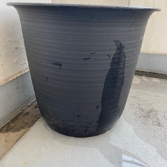 植木鉢おしゃれインテリアの画像