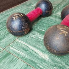 ●鉄アレイ●ダンベル●筋トレ●トレーニング●5㎏×2本の画像