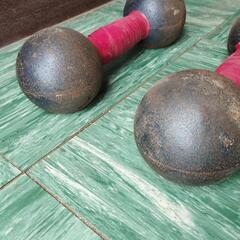 ●鉄アレイ●ダンベル●筋トレ●トレーニング●5㎏×2本の画像