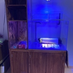 60㎝オーバーフロー水槽フルセット