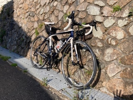 TREK madone3.1