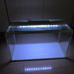 水槽30L