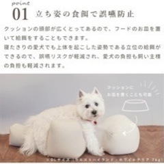 OneAid リラクッション M ブラウンの画像