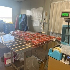 イチゴ栽培のアルバイトです！