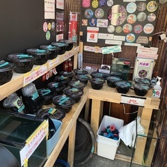 【五桜メダカ】4月10日　横須賀メダカ無人販売