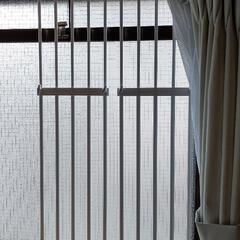 突っ張り棚 突っ張り棒 のれん