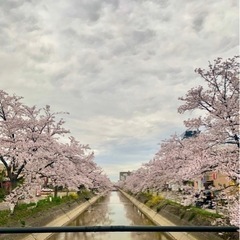 勉強教えます！(zoom,対面どちらでも可能)