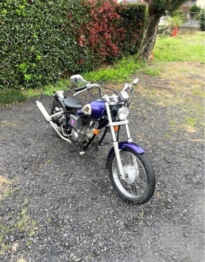 519.  動画あり　ホンダ　ジャズ　JAZZ  原付　バイク　50cc   車体