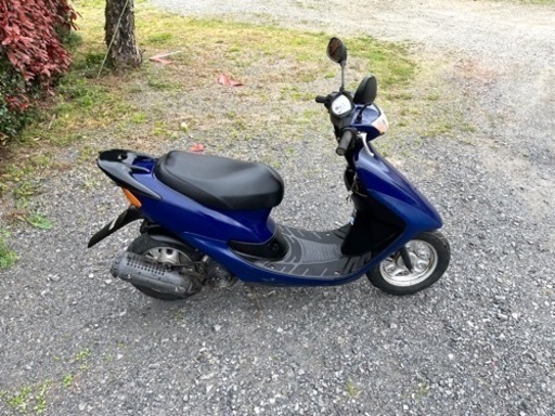 注文 523. 動画あり ホンダ ライブディオZX仕様 原付 バイク 50cc 車体