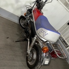 スズキ　エポの画像