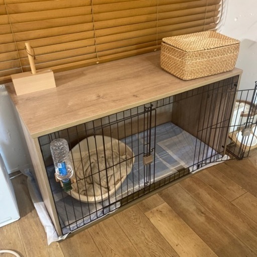 広々した犬のゲージ