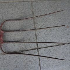 古い農業用フォーク　4本爪の画像