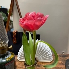 あつまれ子ども好き！