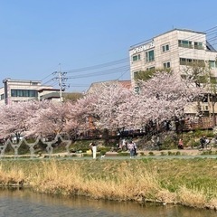 4/13(木) 公園でピクニックしませんか？^^ - 友達