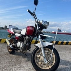 エイプ50