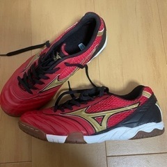 室内用のフットサルシューズの画像