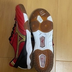室内用のフットサルシューズの画像