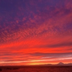 急募、海の美術館。夏7月8月、日払アルバイト。要面談。の画像